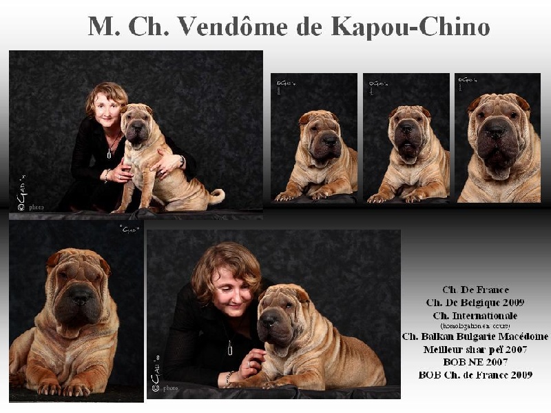 CH. Vendôme De kapou-chino
