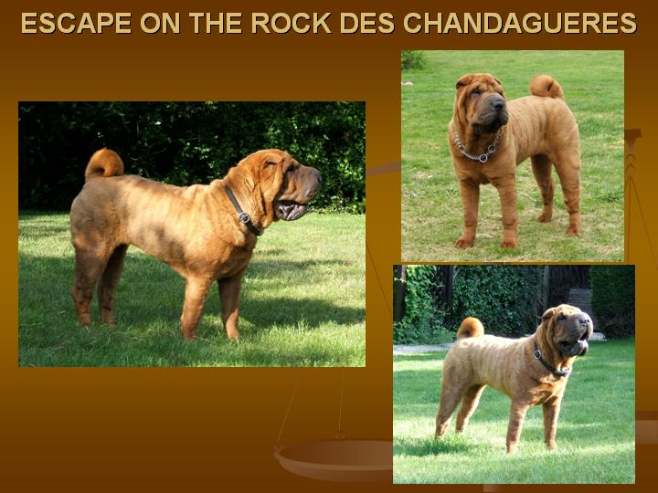 CH. Escape on the rock des Chandagueres