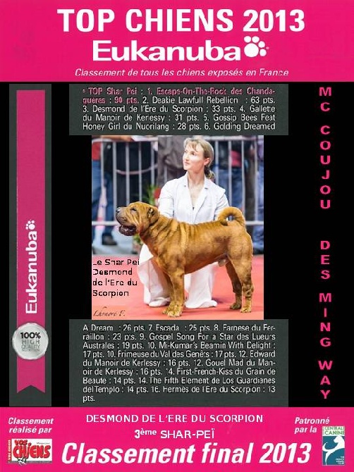 des Ming Way - DESMOND 3è SHAR-PEÏ 2013