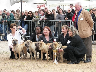 des Ming Way - EVREUX 2008 MEILLEUR LOT D'ÉLEVAGE ET CLASSE ÉLEVAGE