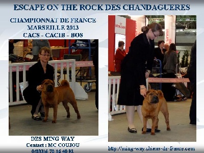 des Ming Way - ESCAPE CHAMPIONNE DE FRANCE