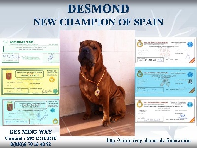 des Ming Way - DESMOND CH. D'ESPAGNE