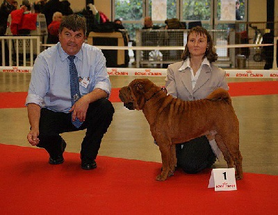 des Ming Way - DESMOND BOB PARIS DOG SHOW 2012