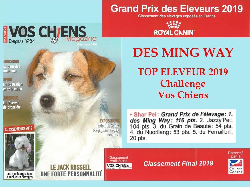 des Ming Way - TOP ELEVEUR 2019