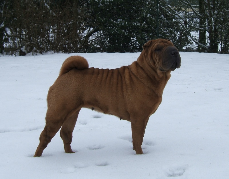 CH. Escape on the rock des Chandagueres