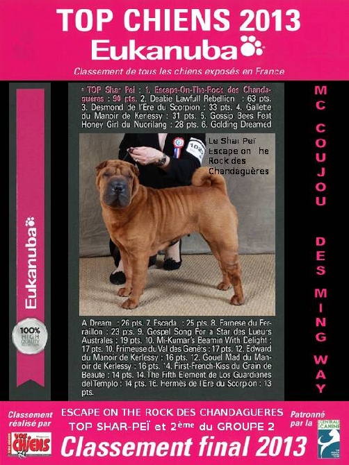 des Ming Way - ESCAPE TOP SHAR-PEI 2013
